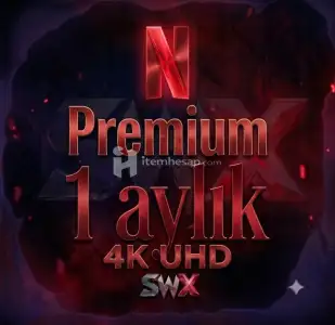 Netflix premium 1 aylık hesap