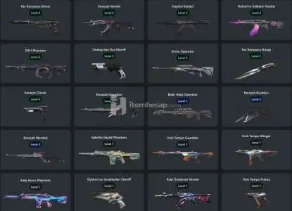 hesabın ilk sahibiyim mail şifre değişir skinler görseldeki gibidir hesap 133 seviye güncel rank plat1 peaki dia 1