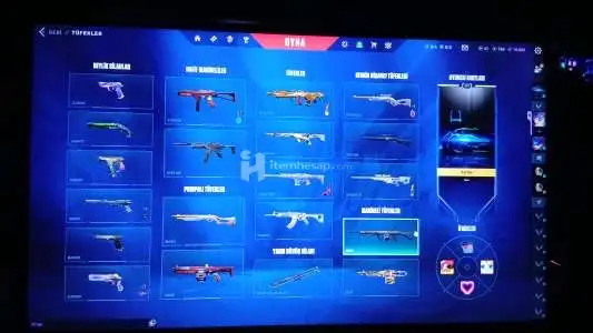 270 Level Rgx Kelebekli Hesap Mailli