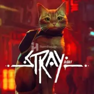 Stray PS5 & PS5 Pro + Garantili