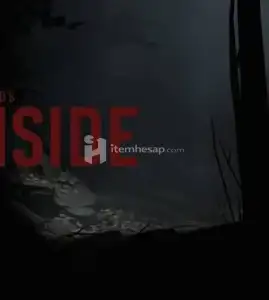 Inside