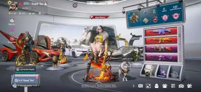 M4 Sayaç + 2 Mumya + 9 Nihai + 4 X-Suit + 3 Araba