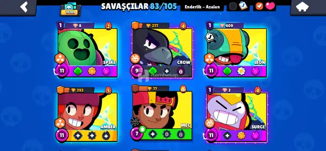 19.3k kupa
