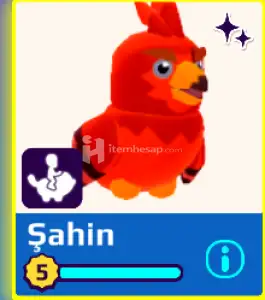 PK XD Parlak Şahin