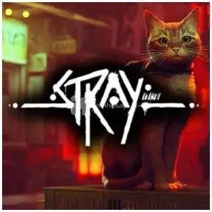 Stray + Hızlı Teslim
