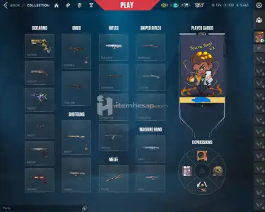 Vct Champions Arcane Hepsi Var