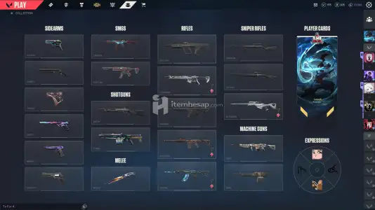 Valorant İmmo skinli çar